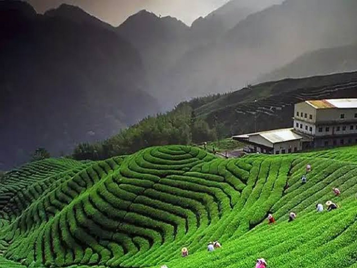 Travel Tips: These beautiful tourist destinations will win your heart, start planning your trip