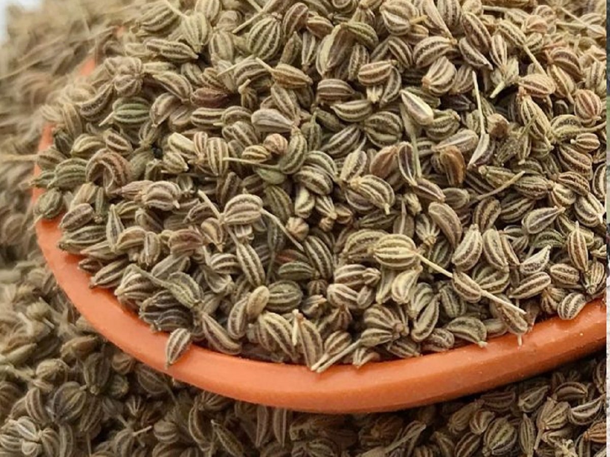 Health Tips: Carom seeds (Ajwain) can resolve various health-related issues