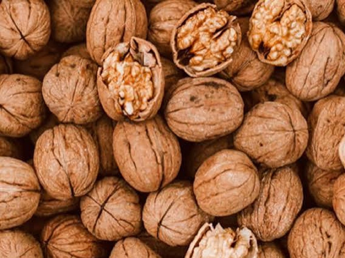 Health Tips: Walnuts are beneficial for making the body strong as steel from within and keeping the mind healthy