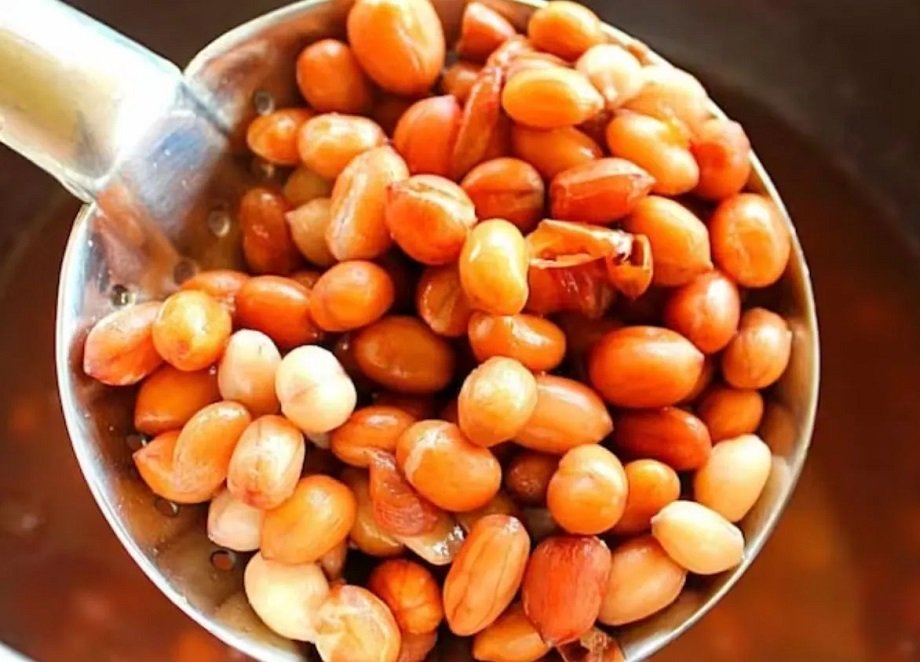 Samachar Jagat