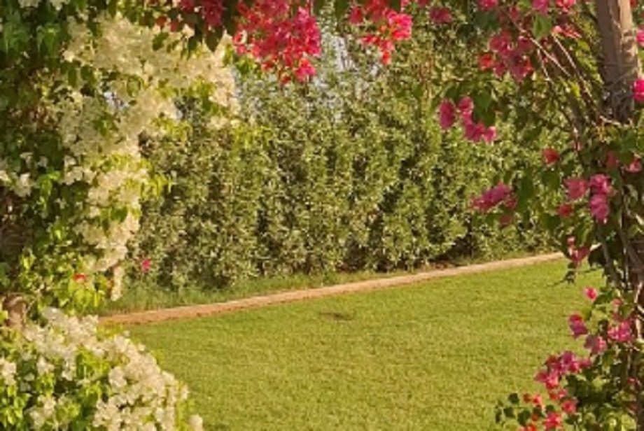 Travel Tips: Make Your Birthday Party Memorable at Trishala Farmhouse