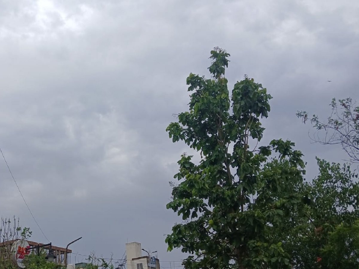 Rajasthan Weather Update: Orange alert issued for thunderstorms and rain in 20 districts of the state, including Jaipur.