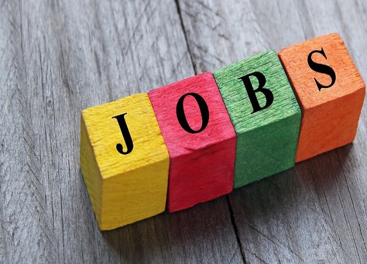 Government Job: Application process for recruitment of lecturer posts in Rajasthan will start from February 20