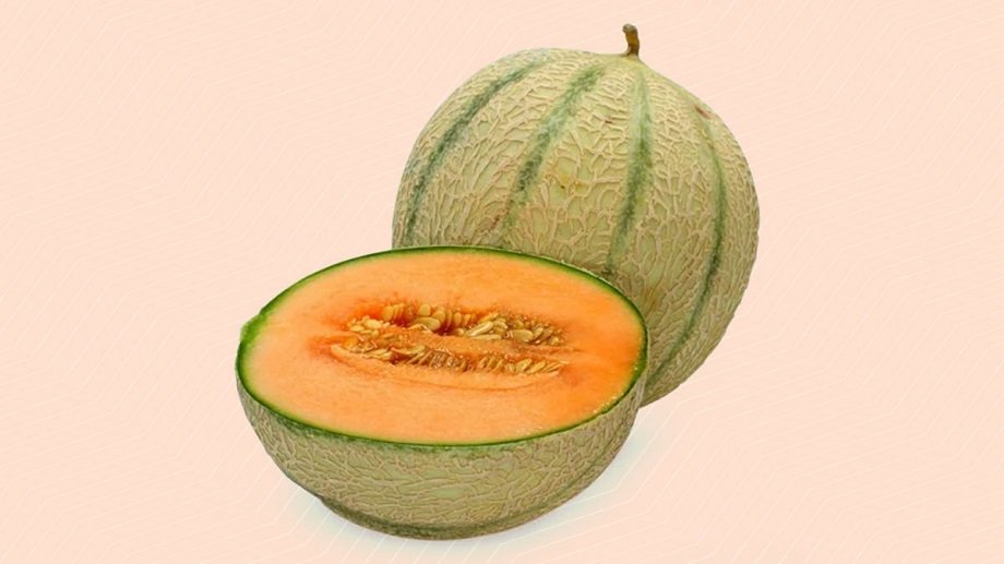Samachar Jagat
