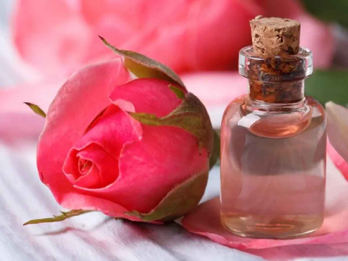 Beauty Tips: Rose water enhances facial beauty