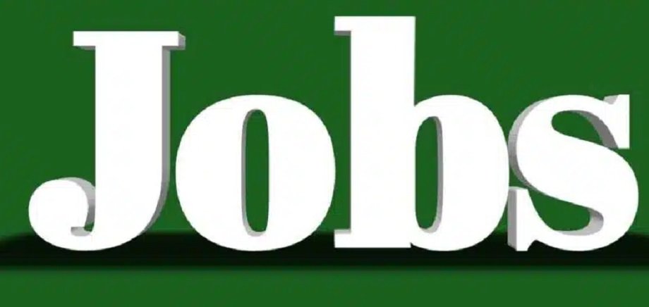 Government Jobs: Applications can be made for Junior Legal Officer posts from 27 August