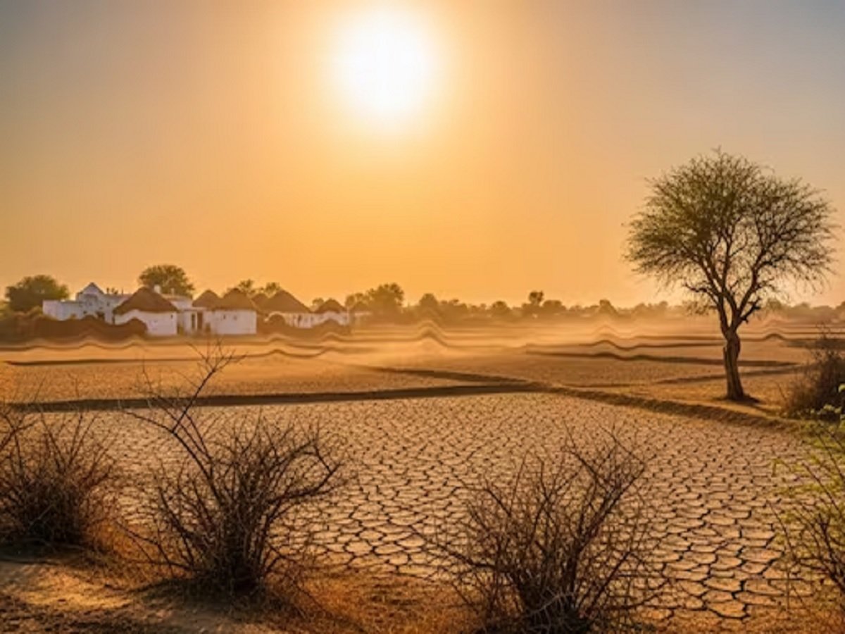 Rajasthan Weather Update: Extreme Heat Imposes a 'Lockdown'; Alert Issued for Half the State