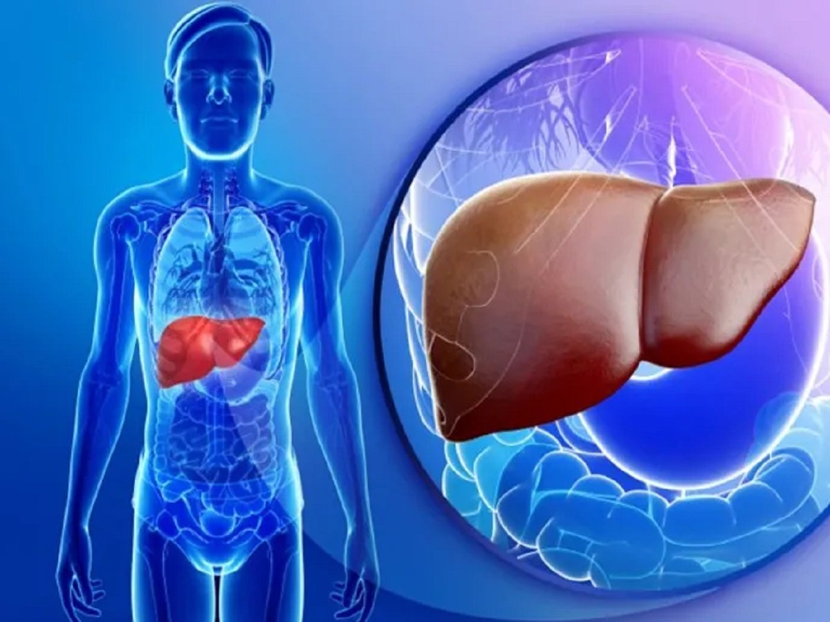 Health Tips: These things are harmful to the liver—steer clear of them