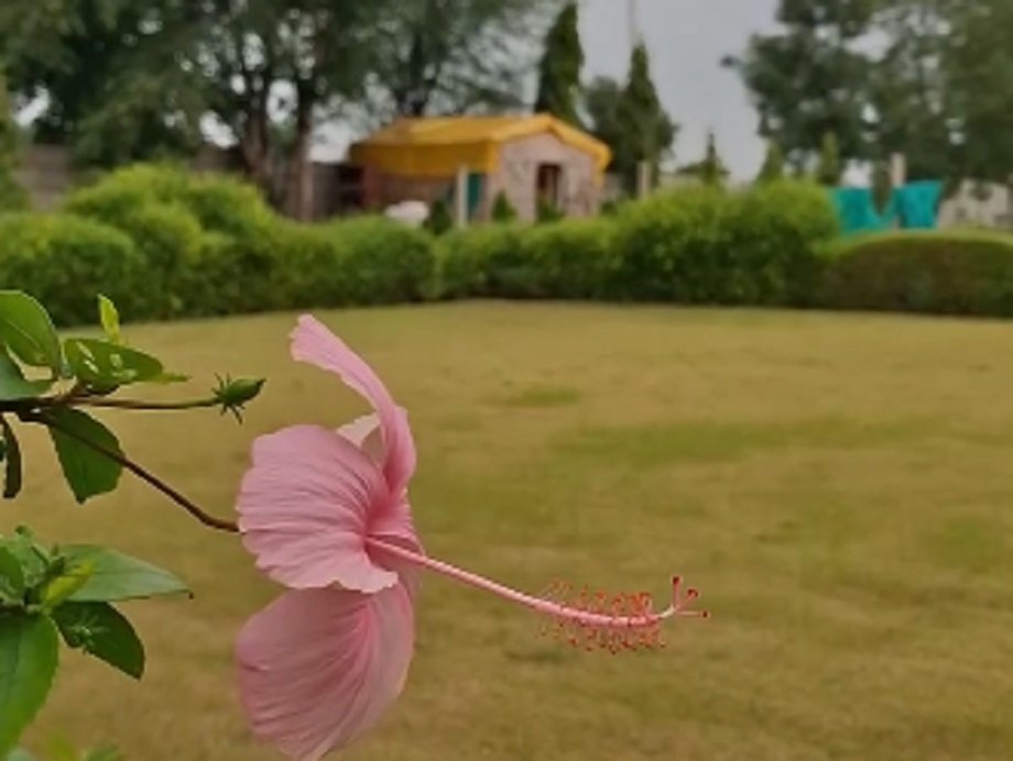 Samachar Jagat