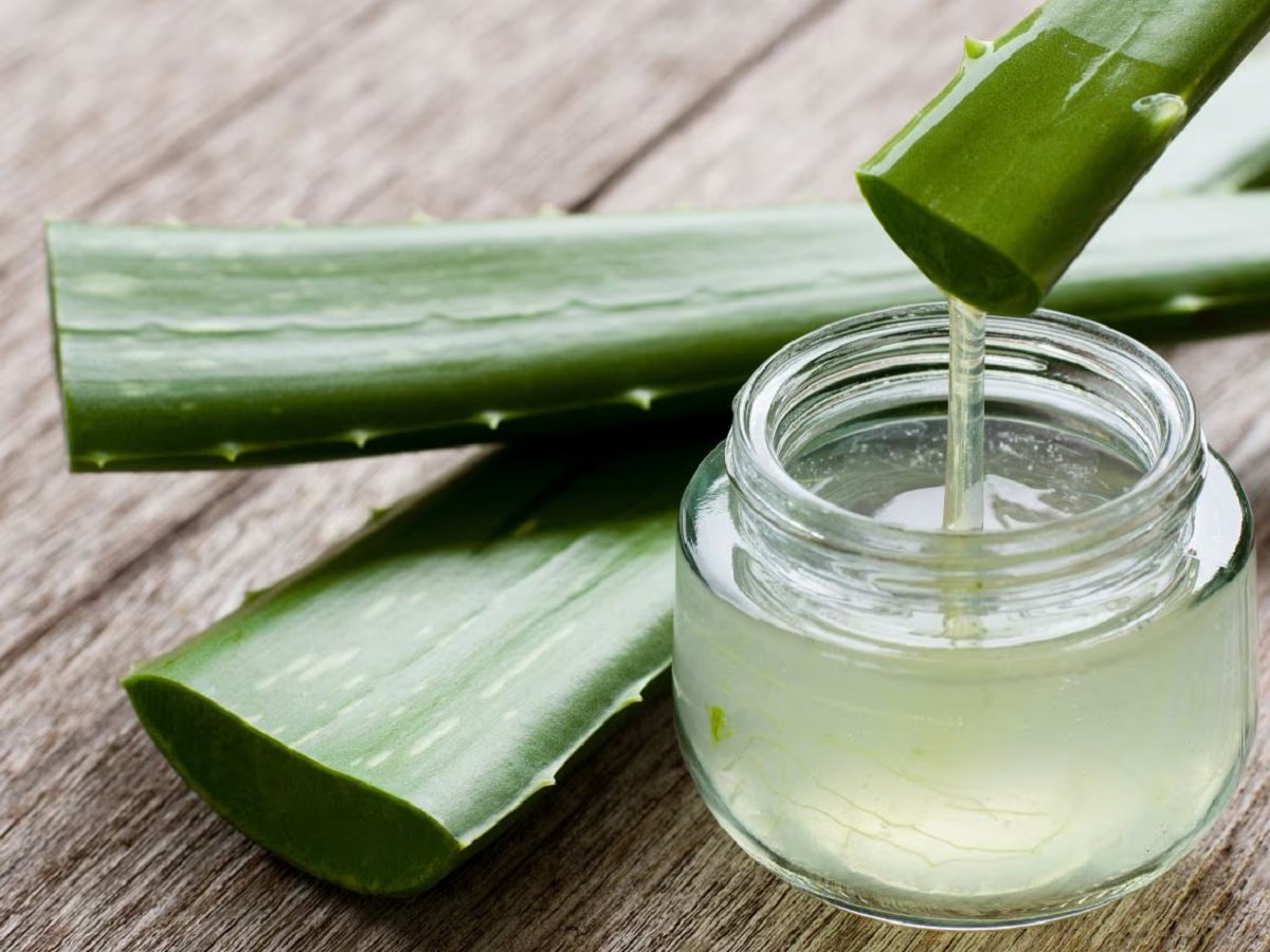 Skincare Tips: Aloe vera can also harm your skin, do this before using it