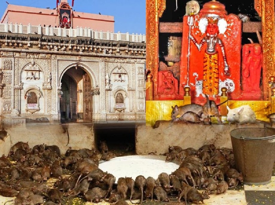Samachar Jagat