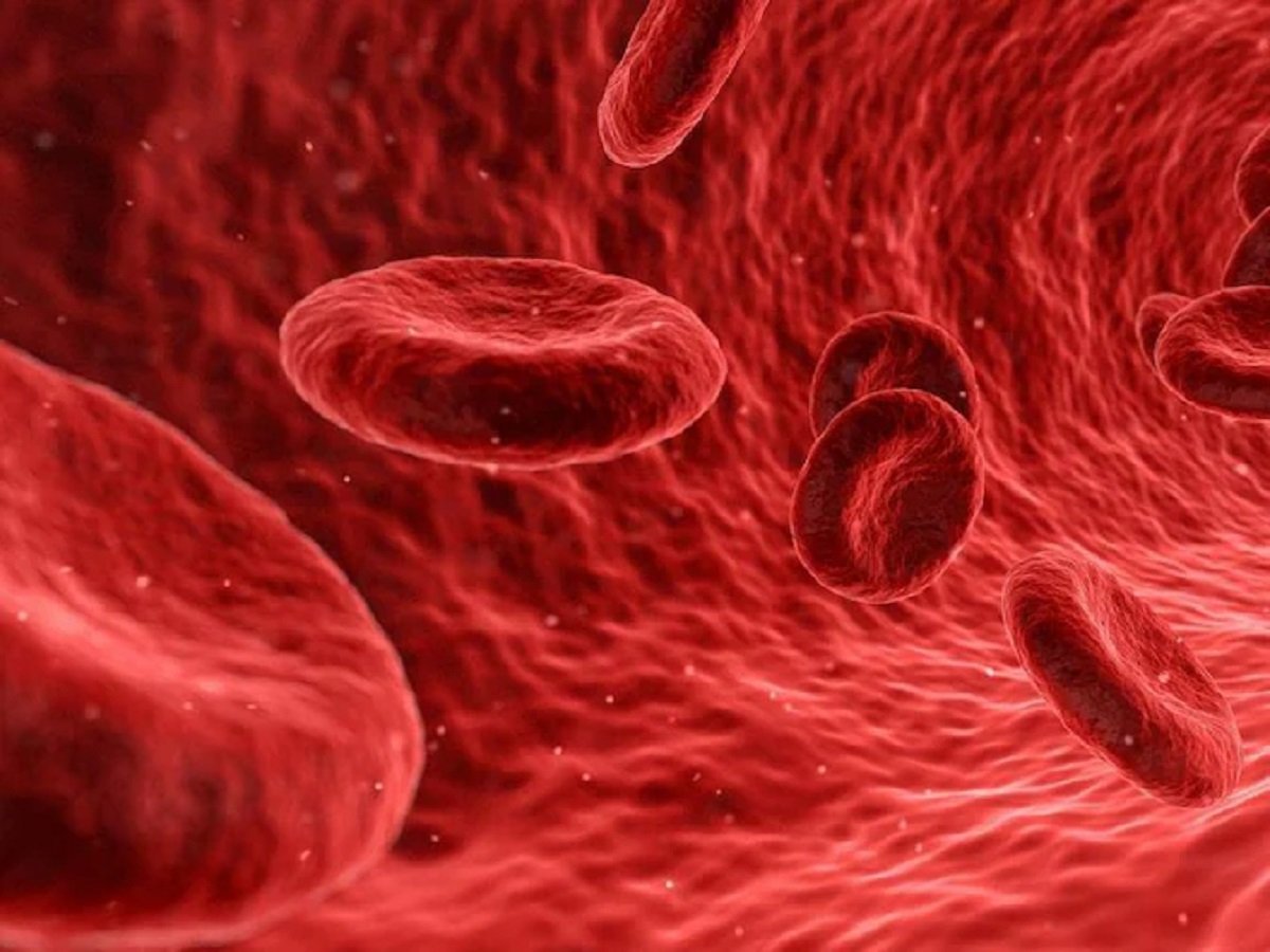 Health Tips: Your body shows these signs when there is a lack of blood, do not ignore them